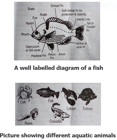 Fishery I
