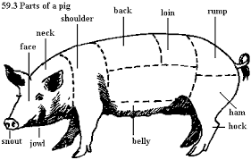ANATOMY AND PHYSIOLOGY OF FARM ANIMALS