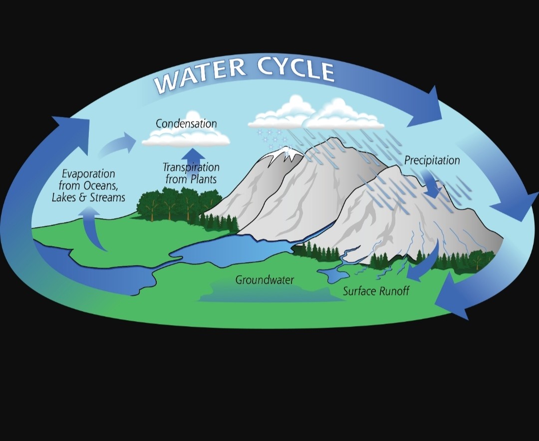 NUTRIENT CYCLING - CARBON, OXYGEN AND WATER CYCLES