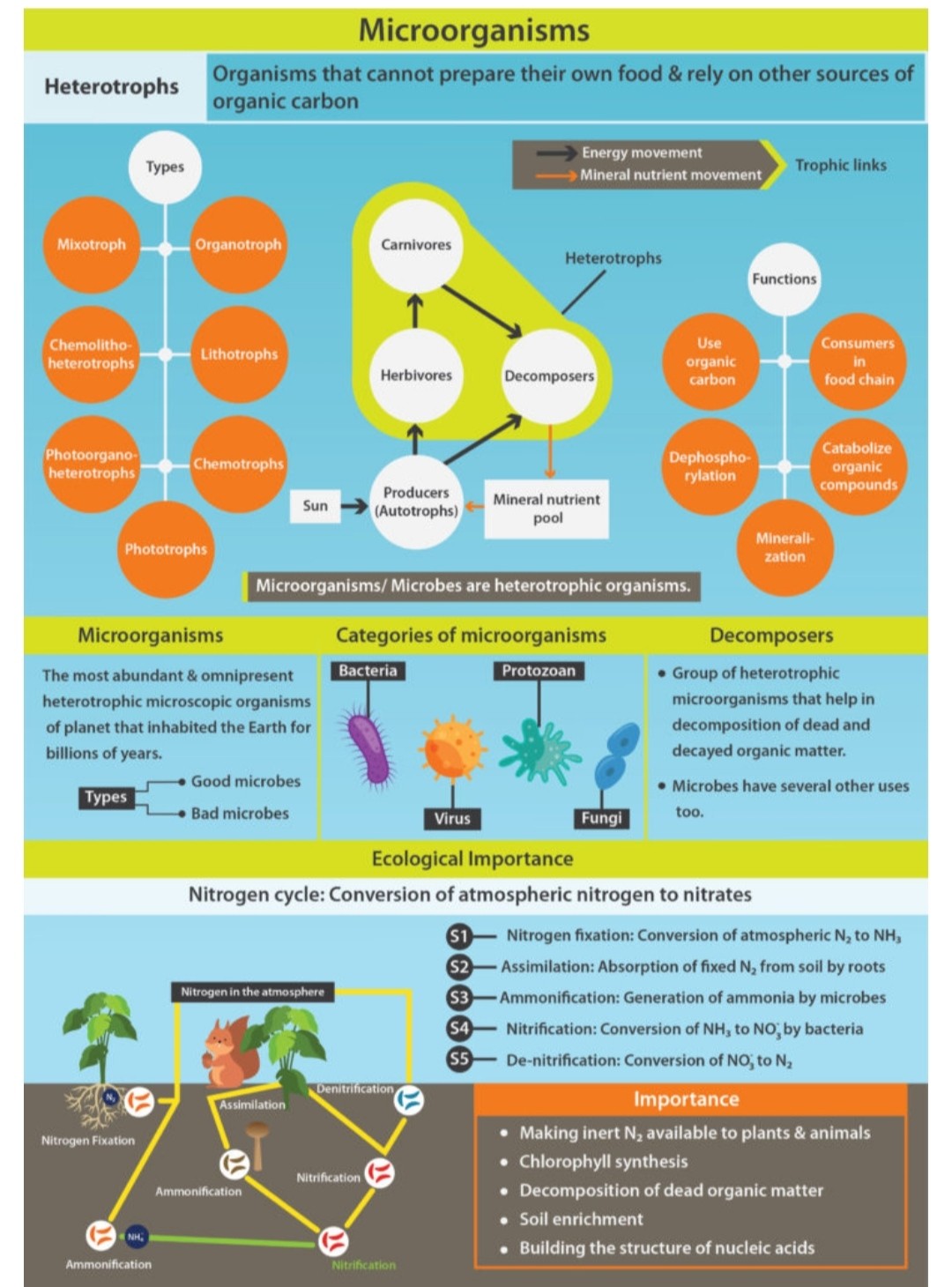 NITROGEN CYCLE - DECOMPOSITION IN NATURE NITROGEN CYCLE - DECOMPOSITION IN NATURE
