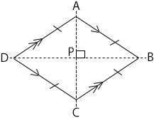 Plane Figure/Shapes