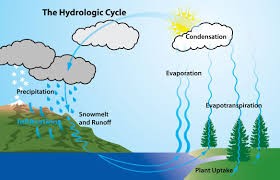 Plant nutrients and nutrients cycle