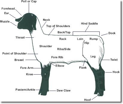 Livestock management.