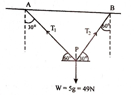 Equilibrium